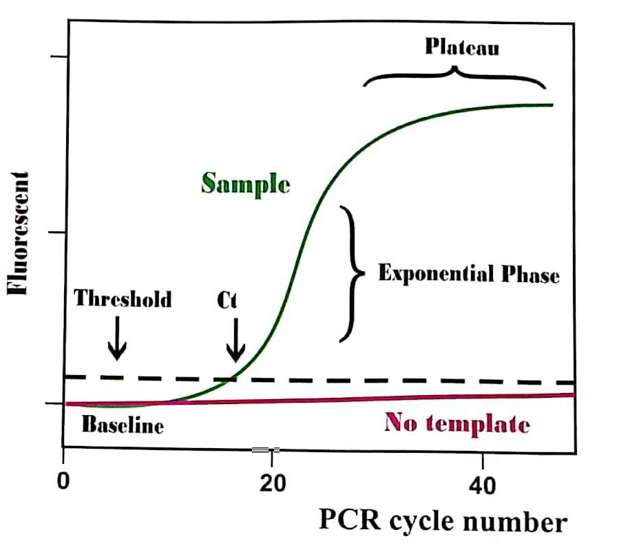  Real-time PCR amplification plot to describe Ct (Cycle Threshold)